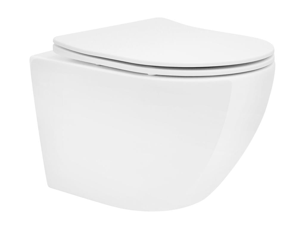 Wall-hung rimless toilet in white with soft-close seat for bathroom WSLY56698