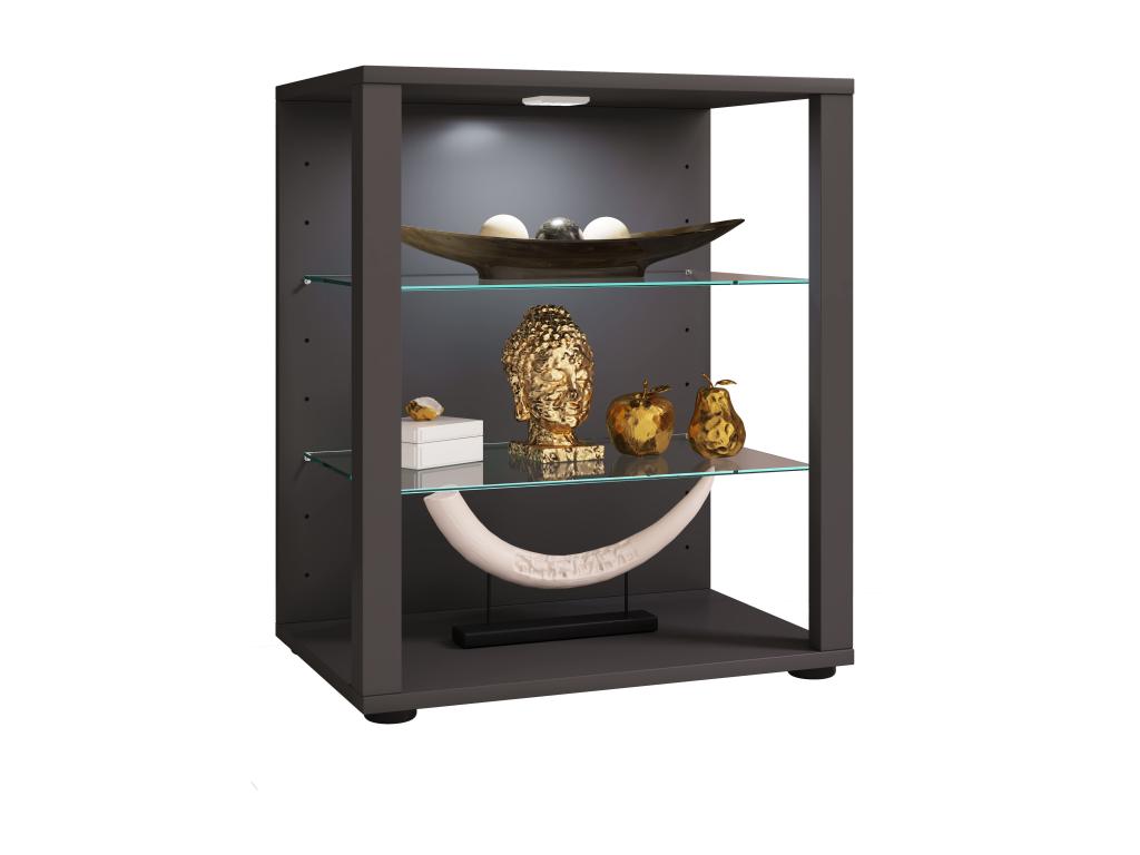 Ventoriq wood and glass display case for collections, glass display case, stand display case, Glasol S Anthracite TPQX74121