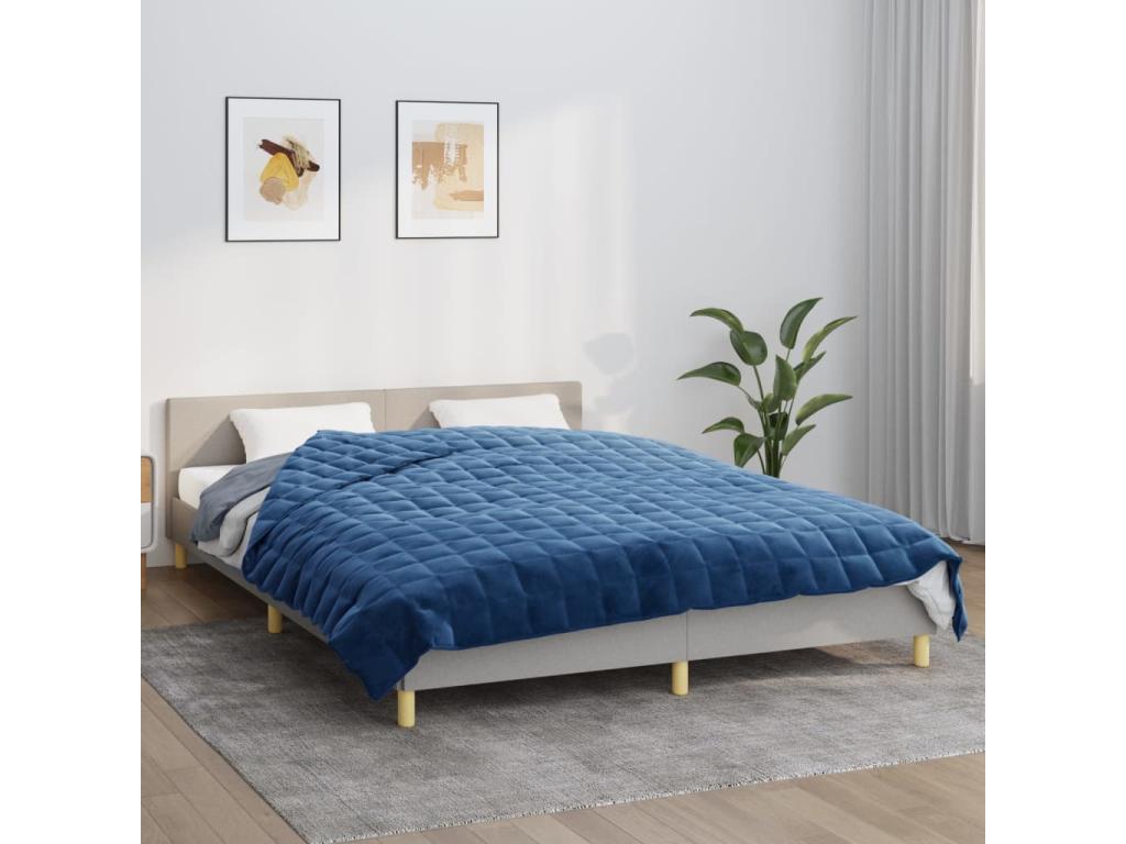 Weighted Blanket Blue 220x240 11 kg Fabric WBVQ58504