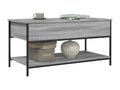 Lumenao coffee table, grey, 100x50x50 cm, engineered wood and metal, SESD90479