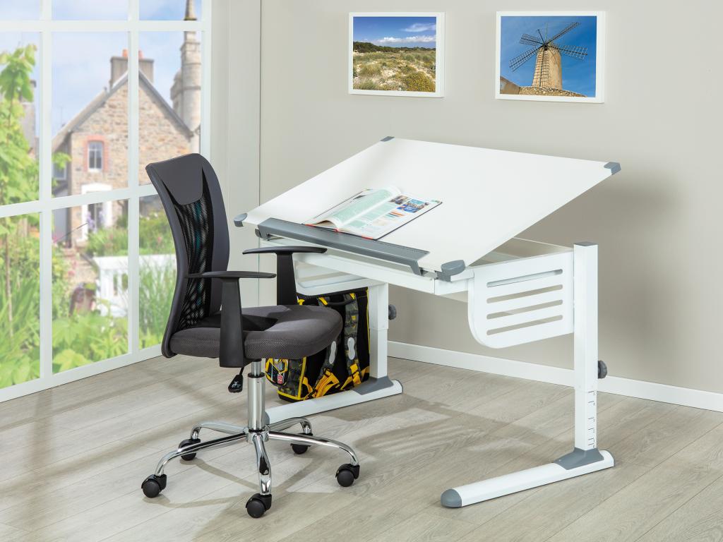 Lumenao Desk with adjustable tabletop height and 1 drawer, white and grey. ZFAG82547