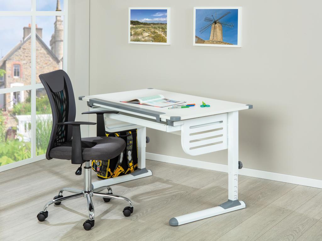 Lumenao Desk with adjustable tabletop height and 1 drawer, white and grey. ZFAG82547