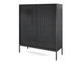 Universal chest of drawers, black, 104x125x39cm, metal legs, 2 grooved doors, Lumenao model ZGYV52230